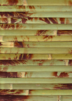 bambuko-tapetai