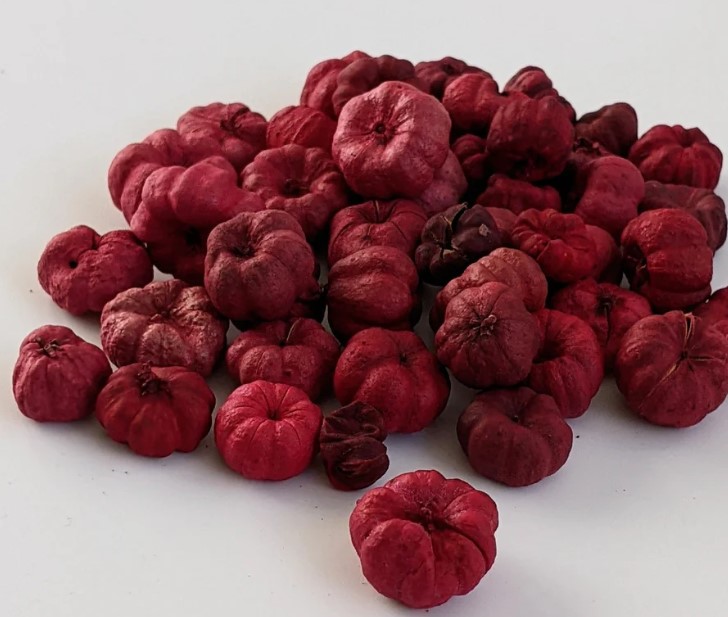 putka-pods